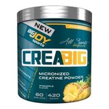 Big Joy 505 gr Big2 Creatine + Glutamine