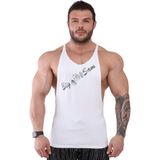 Big Sam 2236 Fitness Erkek Renkli Antrenman Atleti