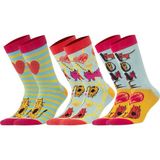 Biggdesign Soket Çorap Seti Cats Kadın Renkli 36 / 40