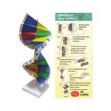 BİGİBU Karton DNA Sarmalı Modeli, eğlenceli ve eğitici masa oyunu seti 12991453149