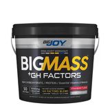 Bigjoy BIGMASS Gainer GH FACTORS 5000g Çilek