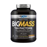 Bigjoy Bıgmass Gainer Gh Factors Çikolata Aromalı 3000G