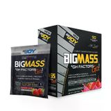 BigJoy Bigmass GH Factors Go 18 Servis Çilek Aromalı Karbonhidrat Tozu