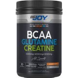 Bigjoy Portakal Aromalı 480 gr Bcaa Glutamine Creatine
