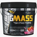 BigJoy Sports 3000 gr Çilek Aromalı Big Mass Gh Factors