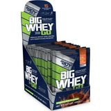 BigJoy Sports Big Whey Go Çikolatalı 15 Servis 495 gr Protein
