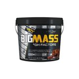 Bigjoy Sports Bigjoy Bigmass Mass Gainer Gh Factors 3000 Gr Karbonhidrat Tozu