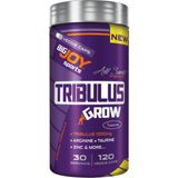 Bigjoy Sports Bigjoy Sports Tribulus Grow