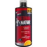 Bigjoy Sports Bigjoy Thermo Nator L-Carnitine 3000 Mg Portakal