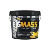 Bigjoy Sports MASS GAİNER 5 kg Muz | BigMass Gh Factors Karbonhidrat & Protein 50 Servis