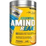Bigjoy Sports Reaal Portakal 420 gr Amino Asit
