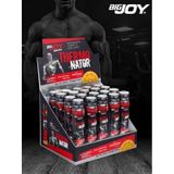Bigjoy Sports Thermonator 20 X 40 Ml Termojenik L-Carnitine