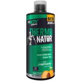 Bigjoy Sports Thermonator L-Carnitine 3000 Mg Şeftali Aroma 1000 Ml
