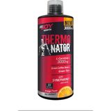 BigJoy Thermonator Karnitin/Portakal/1000ml