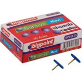 Bigpoint 10'lu Kutu Mavi Renkli Raptiye 30 Adet PVC Kaplama ile Oksitlenmez