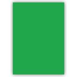Bigpoint 50x70 cm 120 gr 100'lü Yeşil Fon Kartonu