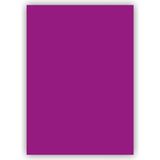 Bigpoint 50x70 cm 120 gr Mor Fon Kartonu