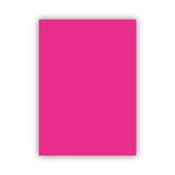 Bigpoint 50x70 CM 120 GR Pembe Fon Kartonu