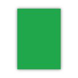 Bigpoint 50x70 CM 120 GR Yeşil Fon Kartonu