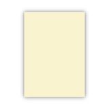 Bigpoint 50x70 cm 160 gr 100'lü Fildişi Fon Kartonu