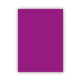 Bigpoint 50x70 cm 160 gr 100'lü Mor Fon Karton