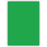 Bigpoint 50x70 CM 160 GR 100LÜ Yeşil Fon Kartonu
