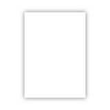 Bigpoint 50x70 CM 160 GR Beyaz Fon Kartonu