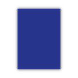 Bigpoint 50x70 cm 160 gr Lacivert Fon Kartonu