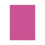 Bigpoint 50x70 cm Pembe Fosforlu Fon Kartonu