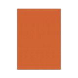 Bigpoint 50x70 cm Turuncu 10'lu Eva