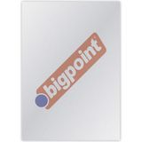 Bigpoint A4 Buzlu Şeffaf Cilt Kapağı 150 Mikron 100'LÜ Paket 210 x 297mm Ölçülerinde