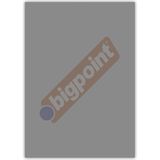 Bigpoint A4 Cilt Kapağı 150 Mikron Şeffaf Siyah 100'LÜ Paket - 100 Adet - Şeffaf - Siyah