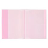 Bigpoint A4 Hazır Defter Kabı 5'Li Paket Şeffaf Kırmızı X 20 Paket