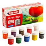 Bigpoint Acyrlic Colour - Akrilik Boya 10 Renk x 25 ml