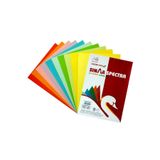 Bigpoint BİGPOİNT RENKLİ FOTOKOPİ KAĞIDI A-4 10 PASTEL RENK (100 LÜ PAKET ) 80 gr