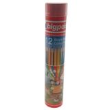 Bigpoint BP94112 12'li Metal Tüp Boya Kalemi