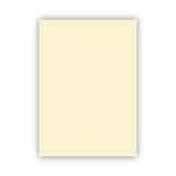 Bigpoint Fon Kartonu 50X70cm 120 Gram Fildişi X 100 Adet