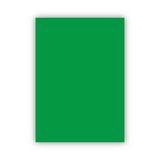 Bigpoint Fon Kartonu 50X70cm 120 Gram Koyu Yeşil X 100 Adet
