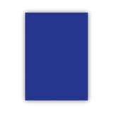 Bigpoint Fon Kartonu 50X70cm 120 Gram Lacivert X 100 Adet