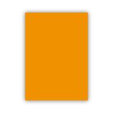 Bigpoint Fon Kartonu 50X70cm 120 Gram Turuncu X 100 Adet