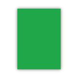 Bigpoint Fon Kartonu 50X70cm 120 Gram Yeşil X 100 Adet