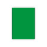 Bigpoint Fon Kartonu 50x70cm 160 Gram Koyu Yeşil 100`lü Paket 8680525933414