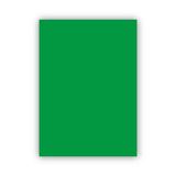 Bigpoint Fon Kartonu 50X70cm 160 Gram Koyu Yeşil X 100 Adet