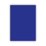Bigpoint Fon Kartonu 50X70cm 160 Gram Lacivert X 100 Adet