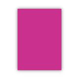 Bigpoint Fon Kartonu 50X70cm 160 Gram Lila X 100 Adet