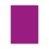 Bigpoint Fon Kartonu 50X70cm 160 Gram Mor X 100 Adet