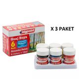 Bigpoint Guaj Boya 6 Renk X 18 Ml X 3 Adet