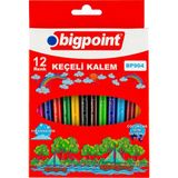 Bigpoint | Keçeli Kalem Seti, Kolay Temizlenebilir Mürekkepli Kalem, Karton Kılıflı, 12 Farklı Renkli Set