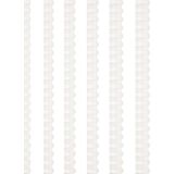 Bigpoint Plastık Spıral 20mm 100 Lu Kutu Beyaz