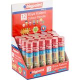 Bigpoint Premium Metal Tüpde Kuru Boya Kalemi 12 Renk - 24'lü Set - Renkli - Standart